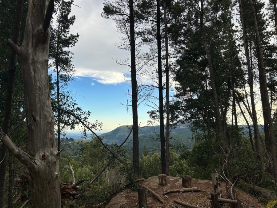 0 Bedroom Property for Sale in Hogsback Eastern Cape